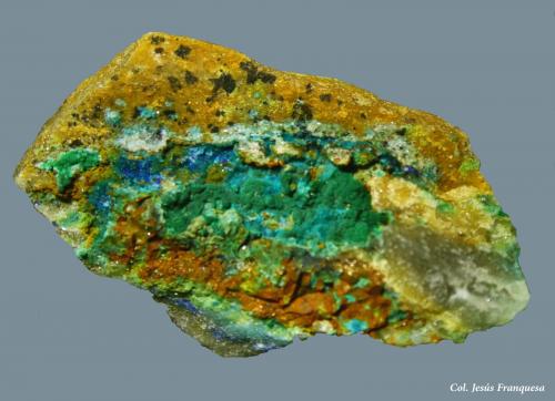 Crisocola y Azurita.<br />Mina La Reforma, El Pinar de Bédar, El Pinar, Bédar, Comarca Levante Almeriense, Almería, Andalucía, España<br />32x20 mm.<br /> (Autor: Jesus Franquesa Baucells)