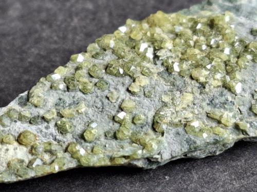 Andradite<br />Cantera Heß, Complejo metamórfico Münchberg, Wurlitz, Oberkotzau, Hof, Oberfranken, Baviera/Bayern, Alemania<br />5 x 2 cm<br /> (Author: Volkmar Stingl)