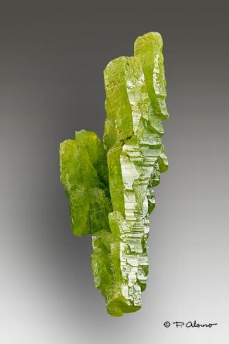 Piromorfita<br />Zona Yangshuo / Laohu, Montes Haiyang, Prefectura Guilin, Región Autónoma Guangxi Zhuang, China<br />3,1cm x 1,3cm x1,3cm<br /> (Autor: Pere Alonso)