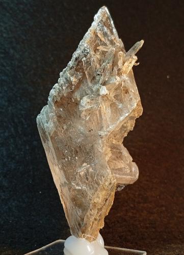 Yeso<br />Afloramientos de carbón, Montalbán, Comarca Cuencas Mineras, Teruel, Aragón, España<br />10 x 4 cm.<br /> (Autor: Felipe Abolafia)