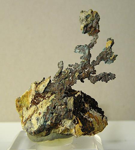 Cobre<br />Corta Santa Bárbara, Minas de Herrerías, Puebla de Guzmán, Comarca El Andévalo, Huelva, Andalucía, España<br />4 x 3,2 cm<br /> (Autor: Frederic Varela)