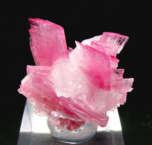 Rhodonita con Calcita<br />Mina San Martín, Chiurucu (Chiuruco), Distrito Huallanca, Provincia Bolognesi, Departamento Ancash, Perú<br />2.1 × 2.1 × 1.6 cm<br /> (Autor: Jordi Fabre)