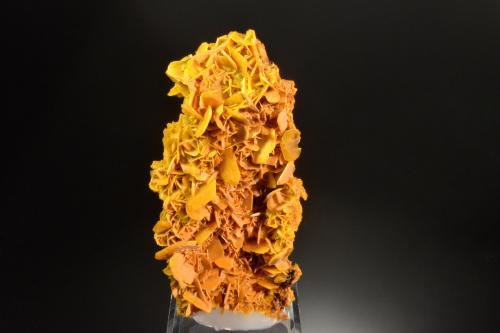 Wulfenite<br />Mina Stefanie, Zona minera Bleiberg, Bad Bleiberg, Distrito Villach-Land, Carintia/Kärnten, Austria<br />7.5 x 4.0 x 2.0 cm<br /> (Author: Michael Shaw)
