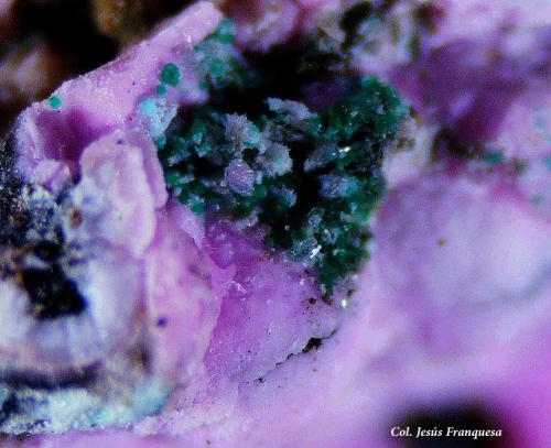 Smithsonita (variedad cobaltífera) y Mahnertita.<br />Mina Feliz Encuentro, Sierra Almagrera, Cuevas del Almanzora, Comarca Levante Almeriense, Almería, Andalucía, España<br />4 Fvo.<br /> (Autor: Jesus Franquesa Baucells)