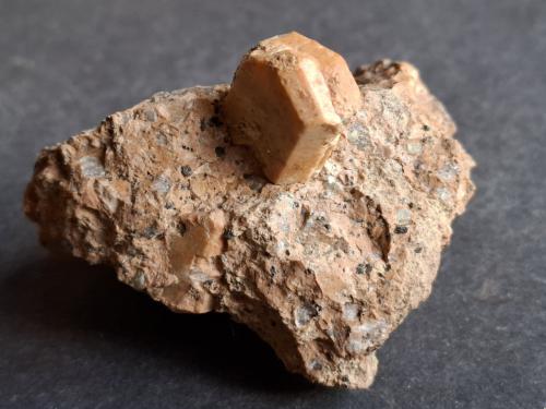 Orthoclase<br />Baito del Manzo, Valfloriana, Provincia Trento, Trentino-Alto Adige (Trentino-Südtirol), Italia<br />6 x 5 cm<br /> (Author: Volkmar Stingl)