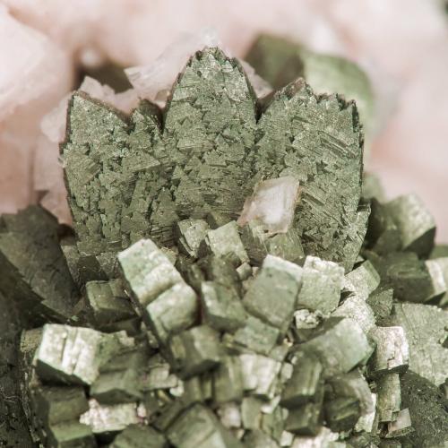 Marcasite on Dolomite<br />Reocín Mine, Reocín, Comarca Saja-Nansa, Cantabria, Spain<br />main crystal size: 0.6 × 0.5 cm<br /> (Author: Jordi Fabre)
