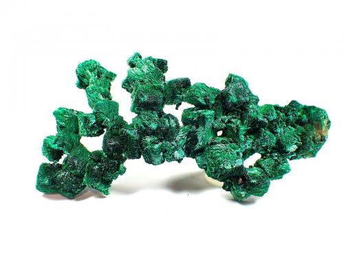 Malachite (variety fibrous malachite)<br />New Cornelia Mine, Ajo, Little Ajo Mountains, Ajo District, Pima County, Arizona, USA<br />86 mm x 46 mm x 10mm<br /> (Author: Don Lum)