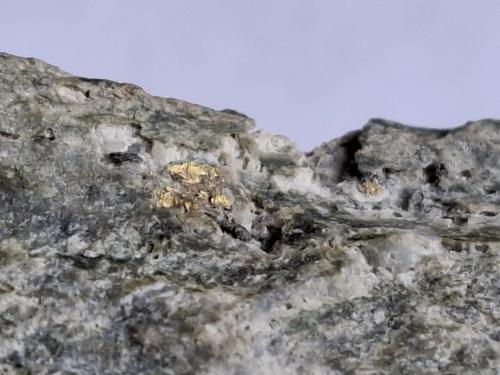Gold<br />Hainzenberg, Valle Ziller (Zillertal), Tirol Norte, Tirol, Austria<br />6,5 x 3 cm<br /> (Author: Volkmar Stingl)