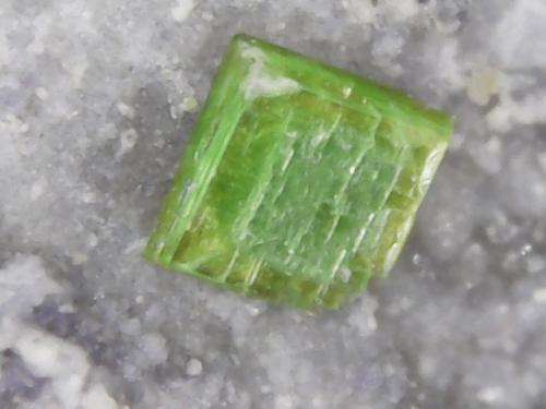 Autunita<br />Paredes de Escalona, Comarca Torrijos, Toledo, Castilla-La Mancha, España<br />cristal de 0.7mm<br /> (Autor: srm13151)