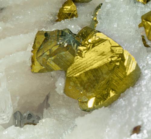 Calcopirita con Calcita<br />Boldut Mine, 61 level, ↓350 m, Cavnic mining area, Cavnic, Maramures, Romania<br />cristal mayor: 1.3 × 0.8 cm<br /> (Autor: Jordi Fabre)