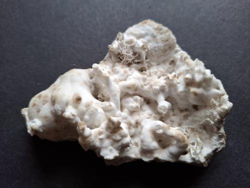 Aragonite (variety flos ferri)<br />Bleiberg mining area, Bad Bleiberg, Villach-Land District, Carinthia/Kärnten, Austria<br />8 x 7,5 cm<br /> (Author: Volkmar Stingl)