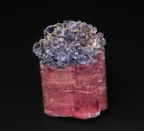 Elbaite<br />Stewart Mine, Tourmaline Queen Mountain, Pala, Pala District, San Diego County, California, USA<br />4.4 x 3.3 cm<br /> (Author: am mizunaka)