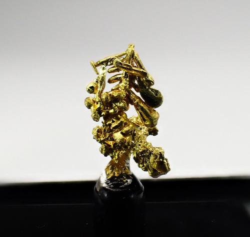 Gold<br />Colorado Quartz Mine, Colorado, Colorado District, Mother Lode Belt, Mariposa County, California, USA<br />12 mm x 7 mm x 6 mm<br /> (Author: Don Lum)