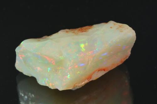 Opal<br />Tsehay Mewcha, Wegeltena, Distrito Delanta, Zona Semien Wollo (Zona Wollo Norte), Región Amhara, Etiopía<br />3.1 x 1.5 cm<br /> (Author: Michael Shaw)