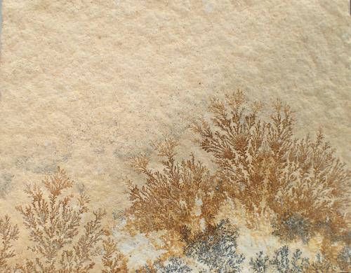 manganese oxides on limestone<br />Limestone quarries, Solnhofen, Weißenburg-Gunzenhausen District, Middle Franconia, Bavaria/Bayern, Germany<br />92 mm x 73 mm x 7 mm<br /> (Author: Don Lum)