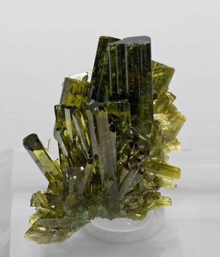Vesuvianite<br />Banchette, Bellecombe, Châtillon, Aosta Valley (Val d'Aosta), Italy<br />3.2 × 2.4 × 2.3 cm<br /> (Author: Jordi Fabre)