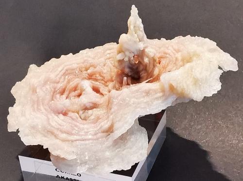 Quartz<br />Akassi, Tazarout, zona Sidi Rahal, Provincia El Kelaâ des Sraghna, Región Marrakech-Safi, Marruecos<br />12cmx6cm<br /> (Author: Enrique Llorens)