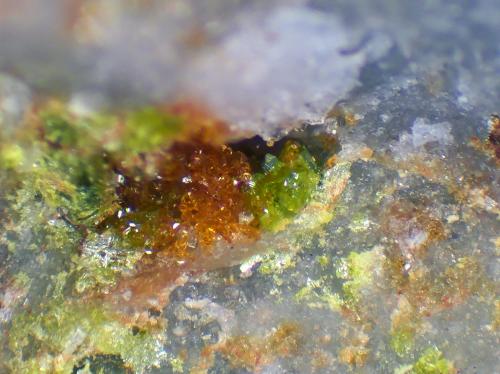 Rodalquilarita, Jarosita<br />Filón 340, Rodalquilar, Níjar, Comarca Metropolitana de Almería, Almería, Andalucía, España<br />Campo de visión 3 mm.<br /> (Autor: Antonio P. López)