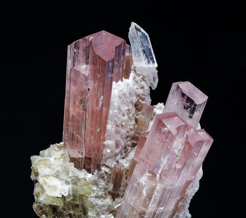 Hambergita<br />Stak Nala, Montes Haramosh, Distrito Skardu, Gilgit-Baltistan (Áreas del Norte), Paquistán<br />8 mm<br /> (Autor: Borja Sainz de Baranda)