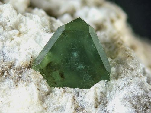 Boracita<br />Bernburg, Stassfurt, Sajonia-Anhalt/Sachsen-Anhalt, Alemania<br />2 mm<br /> (Autor: Borja Sainz de Baranda)