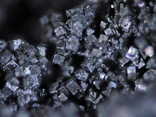 Bornita<br />Las Cruces Mine, Gerena-Guillena-Salteras, Comarca Sierra Norte, Seville, Andalusia, Spain<br />FOV 2mm<br /> (Autor: Cesar M. Salvan)