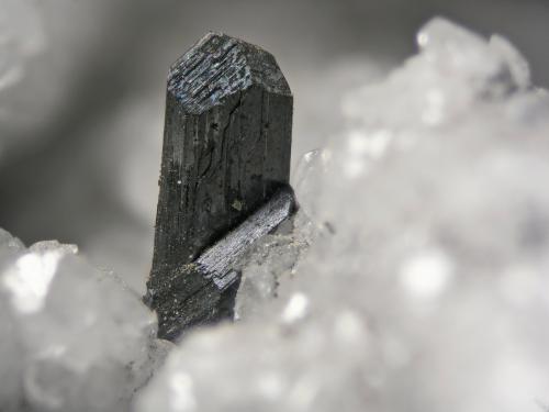 Calcosina<br />Mina Las Cruces, Gerena-Guillena-Salteras, Comarca Sierra Norte, Sevilla, Andalucía, España<br />Cristal 0.7 cm<br /> (Autor: Cesar M. Salvan)
