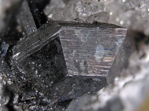 Calcosina<br />Mina Las Cruces, Gerena-Guillena-Salteras, Comarca Sierra Norte, Sevilla, Andalucía, España<br />Cristal 1.5 cm<br /> (Autor: Cesar M. Salvan)