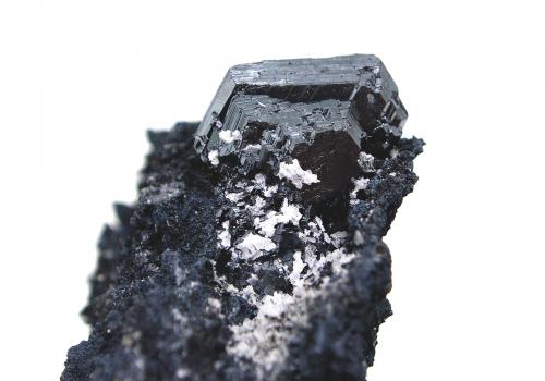 Calcosina<br />Mina Las Cruces, Gerena-Guillena-Salteras, Comarca Sierra Norte, Sevilla, Andalucía, España<br />Cristal 2 cm<br /> (Autor: Cesar M. Salvan)