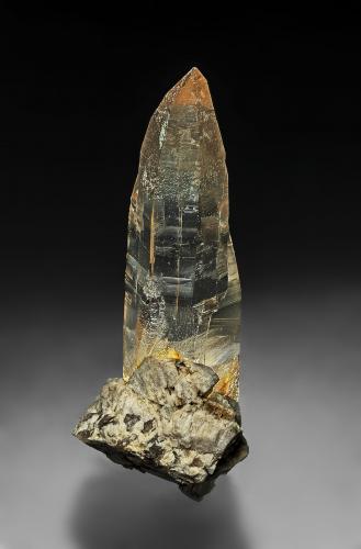 Quartz (variety smoky quartz)<br />Rist Mine, Hiddenite, Alexander County, North Carolina, USA<br />6.1 x 2.7 cm<br /> (Author: am mizunaka)
