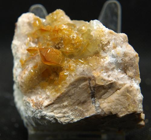 Celestina<br />Cantera Cabezoncillo, Cabeçonet/Alto del Salmitre, Municipio Busot, Comarca Campo de Alicante, Alicante / Alacant, Comunidad Valenciana / Comunitat Valenciana, España<br />6 x 5.5 cm<br /> (Autor: Pedro Antonio)