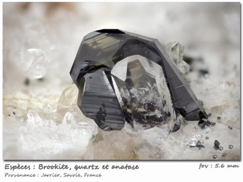 Brookite<br />Jarrier, Saint-Jean-de-Maurienne, Savoie, Auvergne-Rhône-Alpes, France<br />fov 5.6 mm<br /> (Author: ploum)