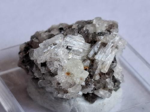 Herderite, Fluorite<br />Davib East Farm (Davib Ost Farm), Distrito Karibib, Región Erongo, Namibia<br />2 x 1,8 cm<br /> (Author: Volkmar Stingl)