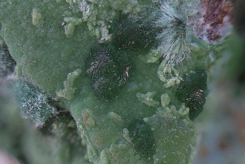 Goldhillita sobre conicalcita<br />Mina Trípoli, Barranco del Cura, Huércal de Almería, Comarca Metropolitana de Almería, Almería, Andalucía, España<br />Campo de visión de  5 mm.<br /> (Autor: Antonio Carmona)