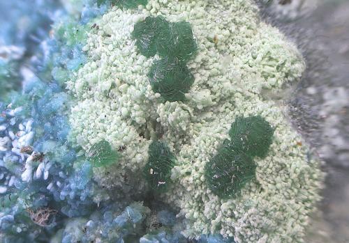 Goldhillita y crisocola<br />Mina Trípoli, Barranco del Cura, Huércal de Almería, Comarca Metropolitana de Almería, Almería, Andalucía, España<br />Campo de visión de  5 mm.<br /> (Autor: Antonio Carmona)