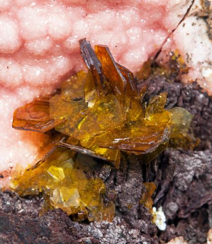 Shigaita con Rodocrosita y Siderita<br />Mina N'Chwaning I, Zona minera N'Chwaning, Kuruman, Kalahari manganese field (KMF), Provincia Septentrional del Cabo, Sudáfrica<br />cristal principal: 0.7 × 0.5 cm<br /> (Autor: Jordi Fabre)