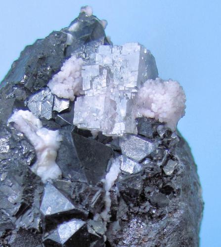 Alabandite, Rhodochrosite, Fluorite<br />Uchucchacua Mine, Oyón Province, Lima Department, Peru<br />79 mm x 40 mm x 37 mm Largest crystal size: 18 mm Mass: 222 g<br /> (Author: Carles Millan)