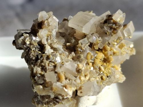 Bertrandite<br />Kara-Oba, Desierto Betpak-Dala (Bet-Pak-Dala), Región Karaganda, Kazajstán<br />2,4 x 1,9 cm<br /> (Author: Volkmar Stingl)