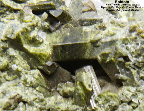 Epidota<br />Mina Trinidad, El Triunfo, Municipio La Paz, Baja California Sur, México<br />10x8x4.5 cm<br /> (Autor: Luis Edmundo Sánchez Roja)