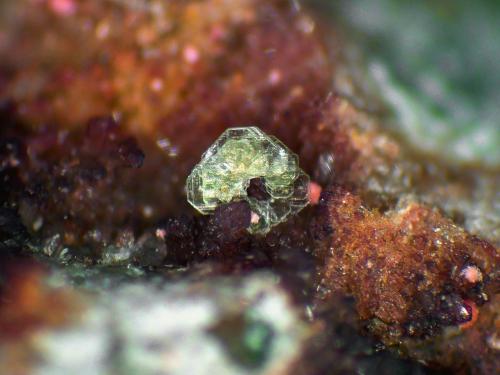 Heinrichita, Eritrita<br />Wittichen, Schenkenzell, Rottweil, Selva Negra, Baden-Württemberg, Alemania<br />Cristal de 2 mm.<br /> (Autor: Antonio P. López)