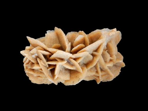Gypsum (variety desert rose)<br />Douz, Gobernación de Kibili, Grand Erg Oriental, Túnez<br />120 mm x 60 mm x 60 mm<br /> (Author: Dany Mabillard)