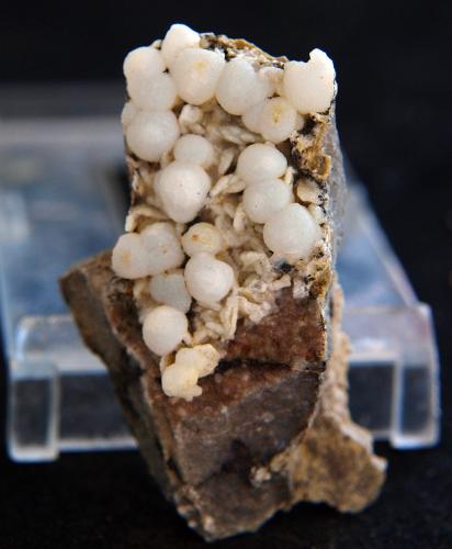 Cuarzo (variedad Calcedonia) y clinoptilolita<br />Volcán Cabezo Negro de Zeneta, Murcia, Comarca Huerta de Murcia, Región de Murcia (Murcia), España<br />4.5 x 2.5 cm<br /> (Autor: Pedro Antonio)