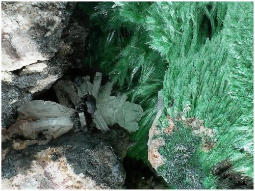 Malachite with Baryte<br />Mina Milpillas, Cuitaca, Municipio Santa Cruz, Sonora, México<br />120 mm x 80 mm x 50 mm<br /> (Author: silvia)
