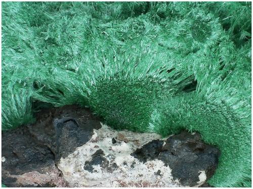 Malachite with Baryte<br />Mina Milpillas, Cuitaca, Municipio Santa Cruz, Sonora, México<br />120 mm x 80 mm x 50 mm<br /> (Author: silvia)