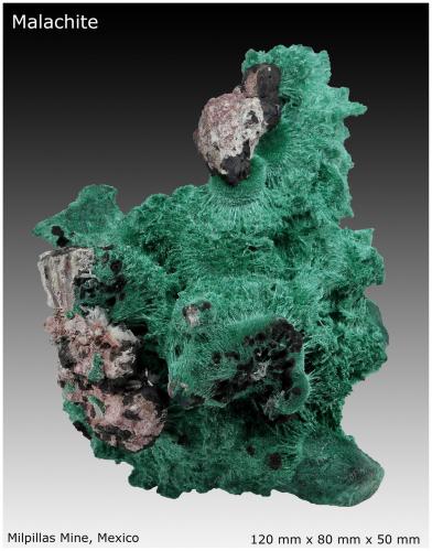Malachite with Baryte<br />Mina Milpillas, Cuitaca, Municipio Santa Cruz, Sonora, México<br />120 mm x 80 mm x 50 mm<br /> (Author: silvia)