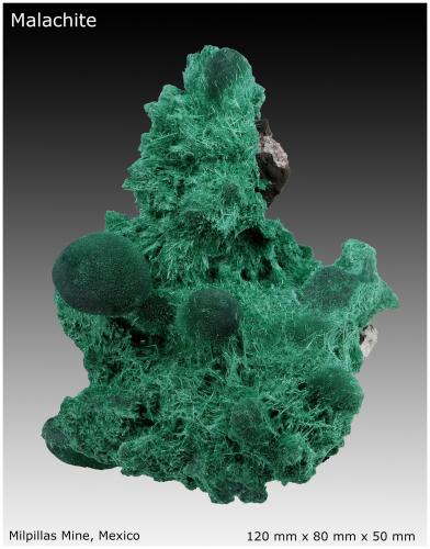 Malachite with Baryte<br />Mina Milpillas, Cuitaca, Municipio Santa Cruz, Sonora, México<br />120 mm x 80 mm x 50 mm<br /> (Author: silvia)