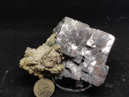 Galena<br />Mina Buick, Bixby, Distrito Viburnum Trend, Condado Iron, Missouri, USA<br />8 cm<br /> (Autor: Cesar M. Salvan)