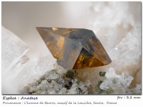 Anatase<br />L'Homme de Beurre, Macizo La Lauzière, Saint-Jean-de-Maurienne, Saboya, Auvergne-Rhône-Alpes, Francia<br />fov 3.2 mm<br /> (Author: ploum)