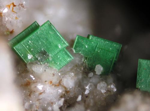Torbernita<br />Mina El Berrocal, Casas del Berrocal, Aldea En Cabo, Comarca Torrijos, Toledo, Castilla-La Mancha, España<br />FOV 1.2 cm<br /> (Autor: Cesar M. Salvan)