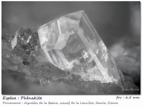 Phenakite<br />Les Aiguilles de la Balme, Macizo La Lauzière, Saint-Jean-de-Maurienne, Saboya, Auvergne-Rhône-Alpes, Francia<br />fov 6.5 mm<br /> (Author: ploum)