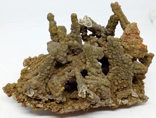Arsendescloizita<br />Mina Ojuela, Mapimí, Municipio Mapimí, Durango, México<br />100x50x60 mm<br /> (Autor: Luis Edmundo Sánchez Roja)